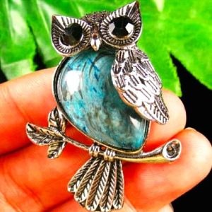 🦉Blue Crazy Lace💙Agate💙Healing Owl Necklace🦉